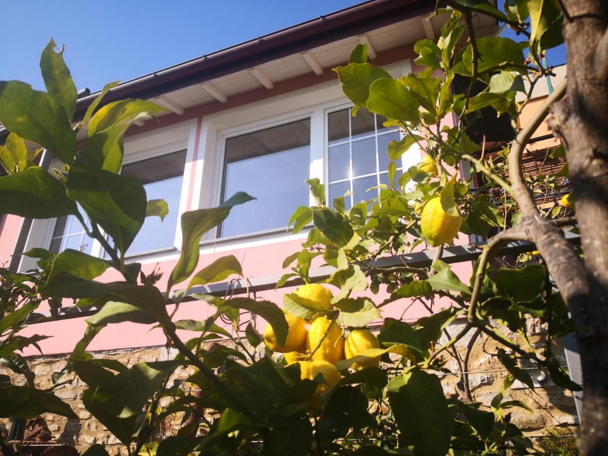 Florinda Lemon'S Suite Cervo Ngoại thất bức ảnh
