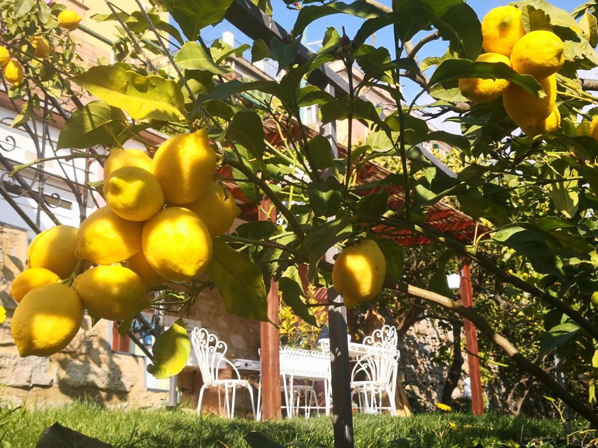 Florinda Lemon'S Suite Cervo Ngoại thất bức ảnh