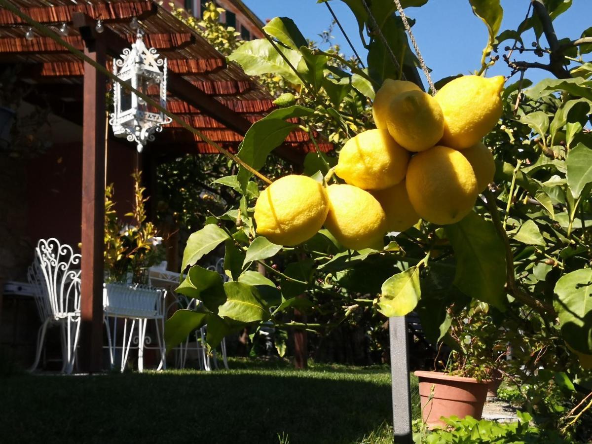 Florinda Lemon'S Suite Cervo Ngoại thất bức ảnh