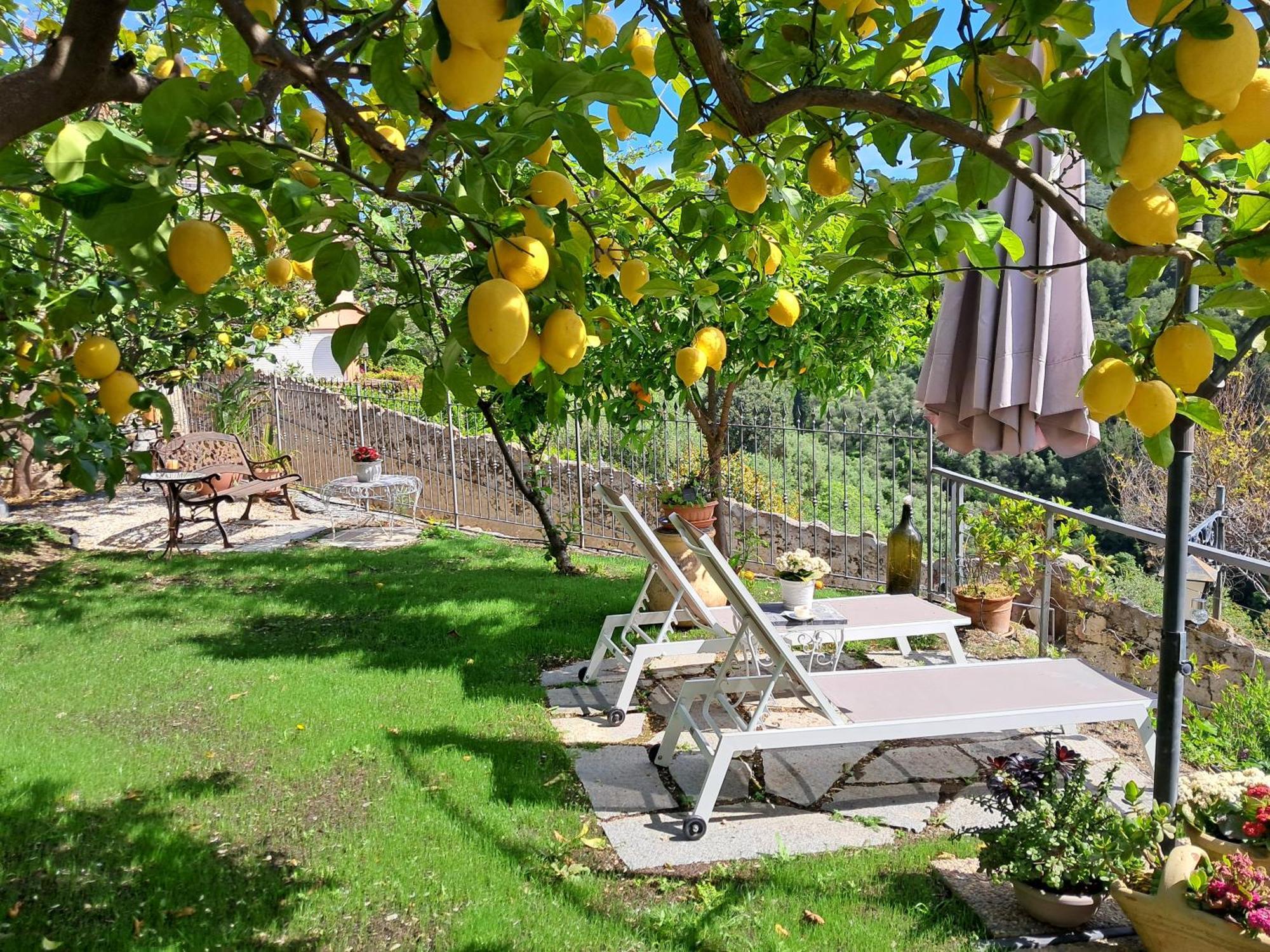Florinda Lemon'S Suite Cervo Ngoại thất bức ảnh